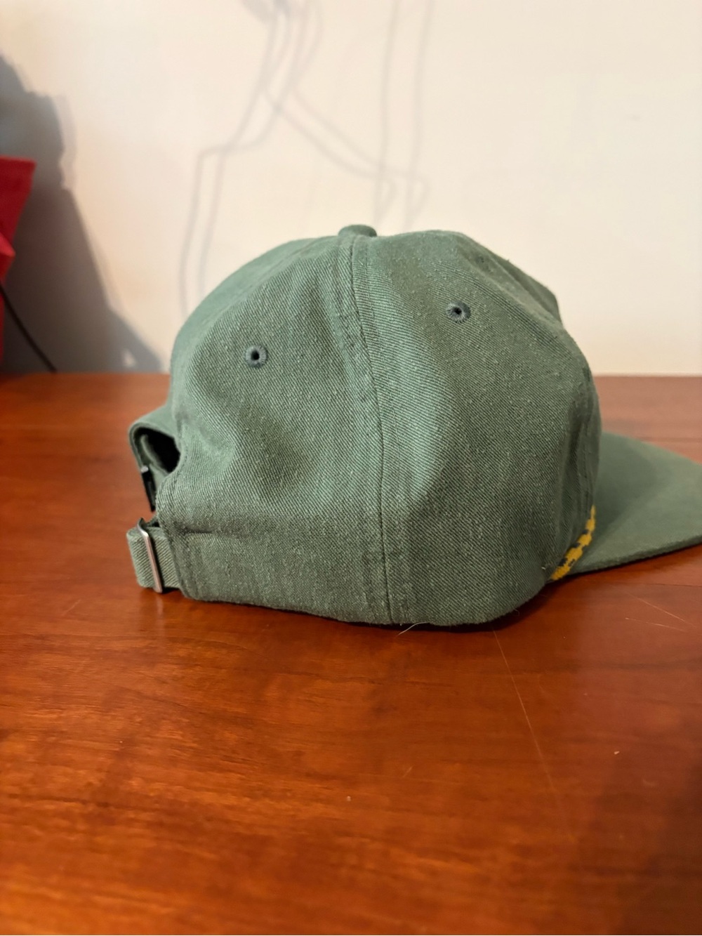NWOT The North Face Green Rope Cord Strapback Hat - Picture 4 of 8
